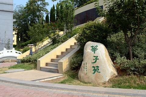 校园秋色-商洛学院